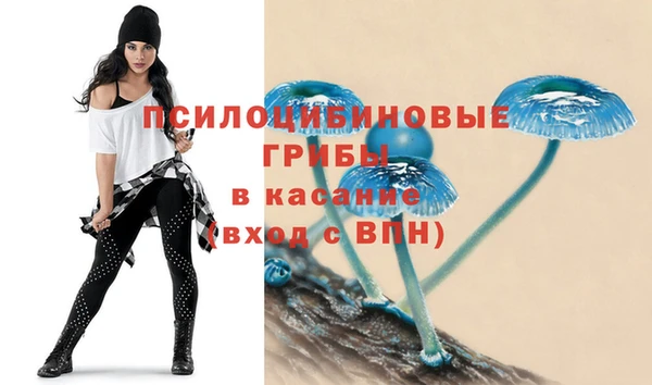 бошки Алексеевка