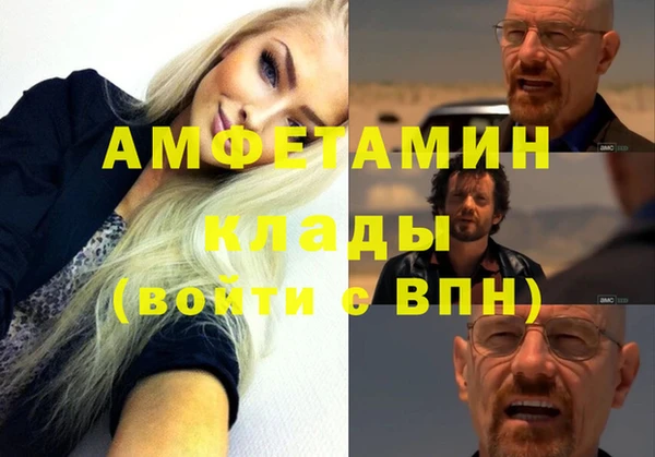 шишки Алзамай