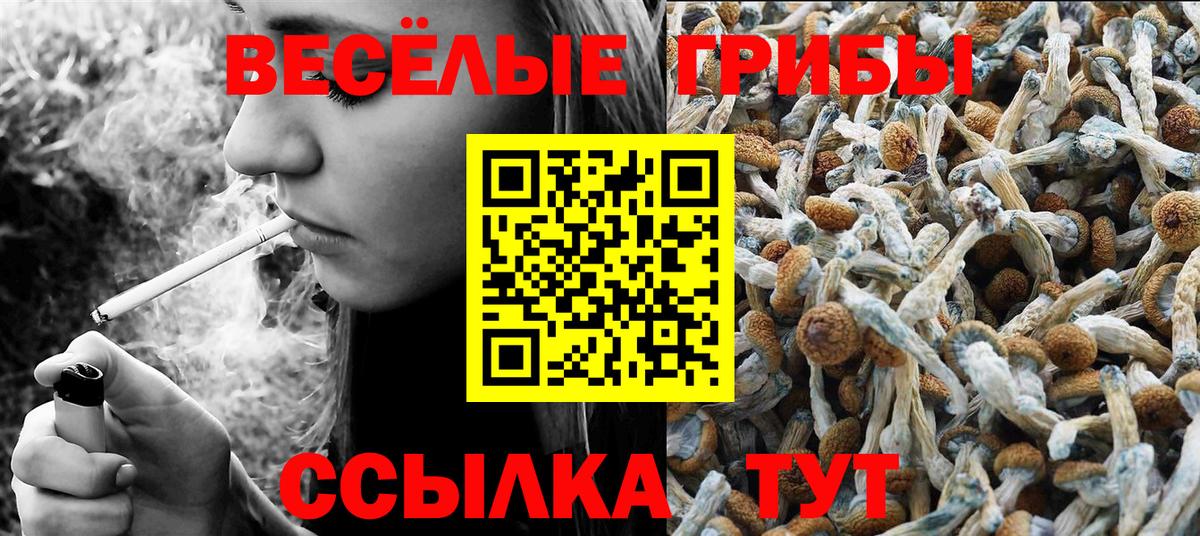Псилоцибиновые грибы прущие грибы Вичуга